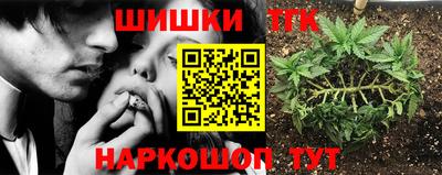 МДПВ Рыбинск