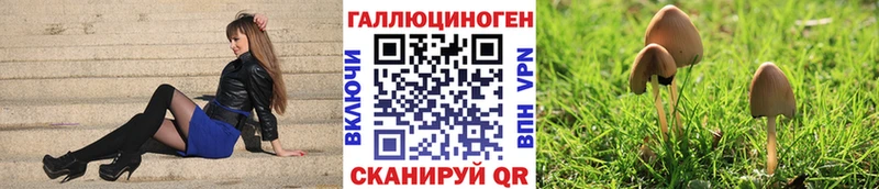 Галлюциногенные грибы GOLDEN TEACHER  где найти наркотики  Чистополь 