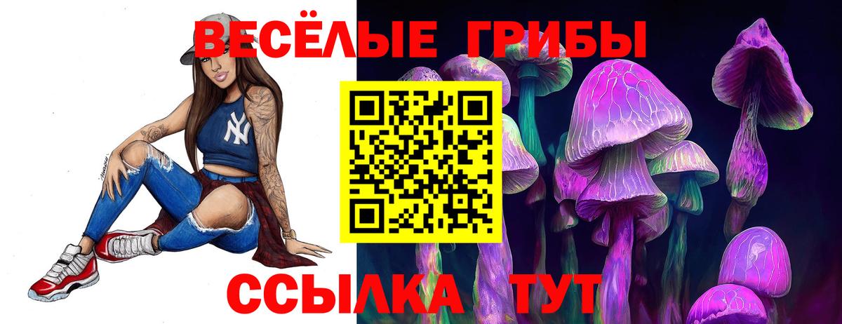 Чистополь  Псилоцибиновые грибы мухоморы  Вход с VPN 