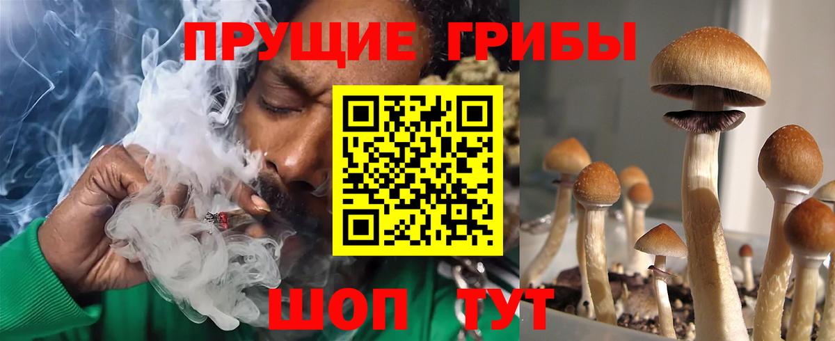 COCAIN  Гашиш  АМФ кристаллы  Меф   Чистополь  A PVP СК   Купить наркотик  Лсд 25  МАРИХУАНА  Вход с VPN 